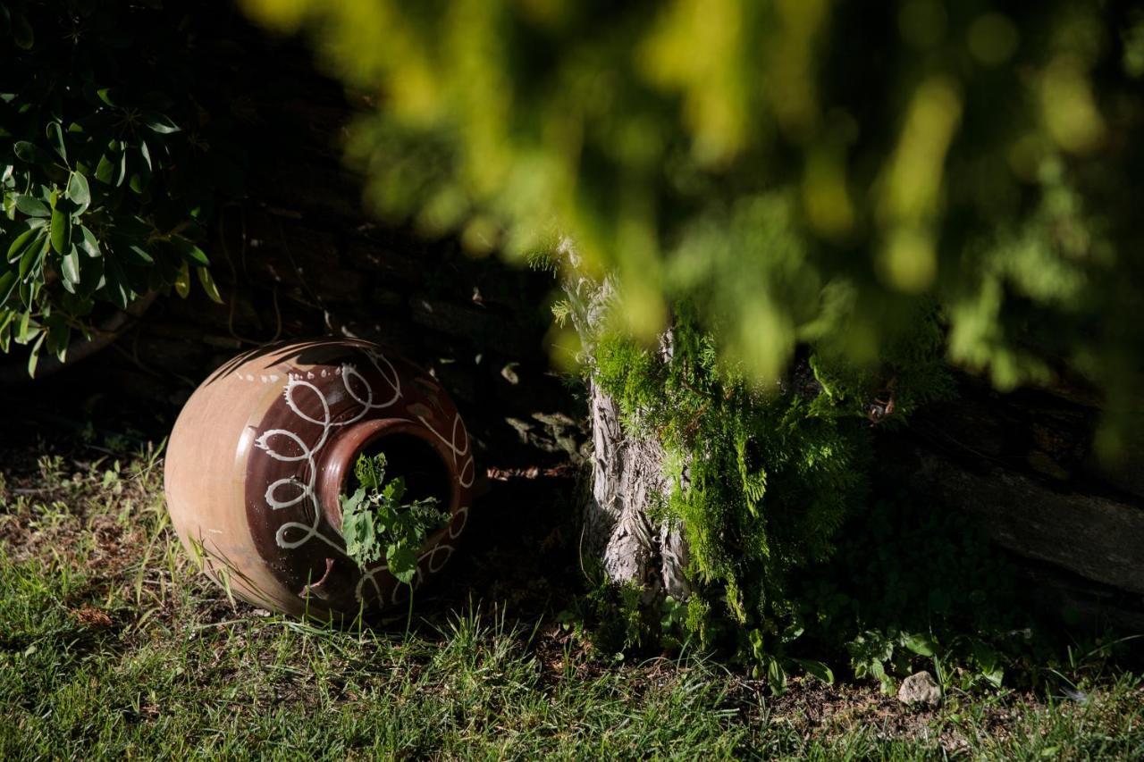 "Palatiana Agriturismo-Philoxenia Cottages", Private Nature Retreats Galini  Buitenkant foto